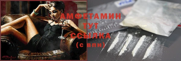 прущие грибы Абинск