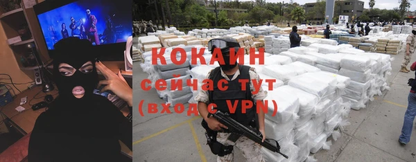 прущие грибы Абинск