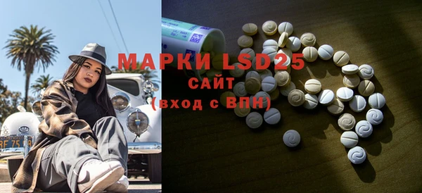 прущие грибы Абинск