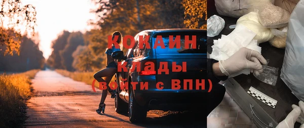 прущие грибы Абинск