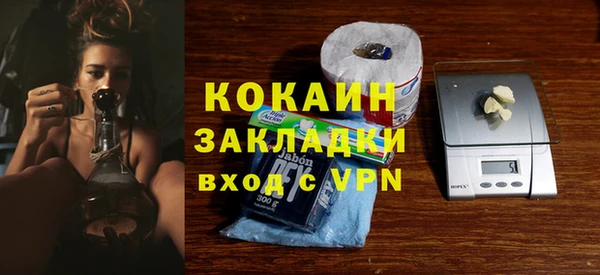 прущие грибы Абинск