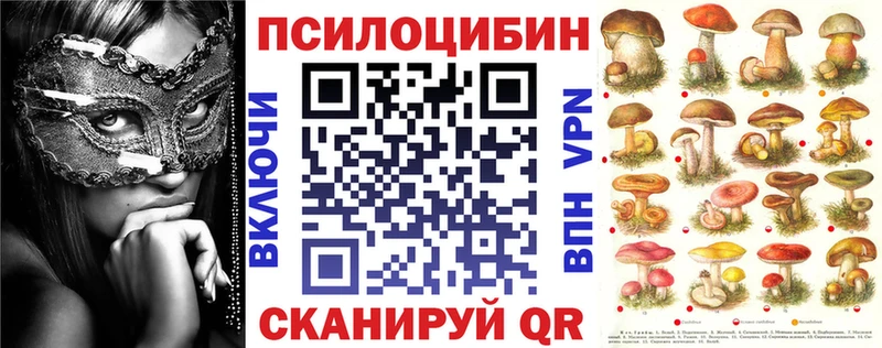 Псилоцибиновые грибы Psilocybe  цены   Волоколамск 