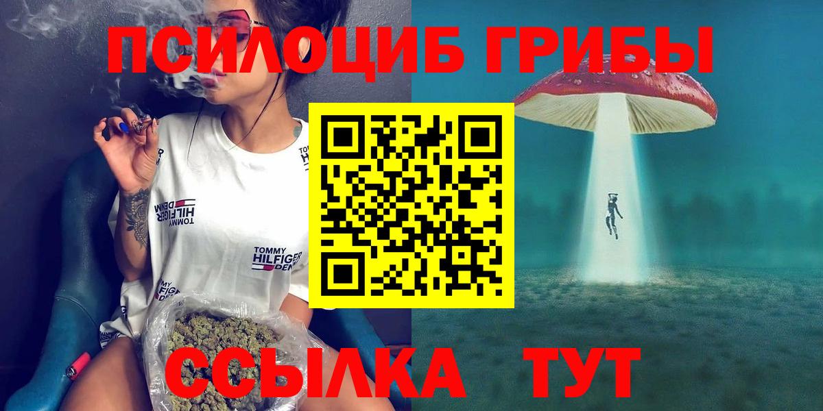 Псилоцибиновые грибы Psilocybe  Галлюциногенные грибы GOLDEN TEACHER  Волоколамск  Вход с VPN 