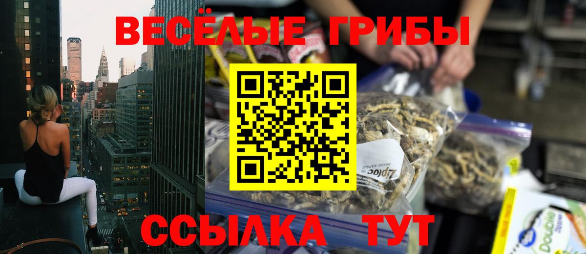 Псилоцибиновые грибы Cubensis Волоколамск